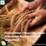 Foxtail Millet (Thinai) Benefits