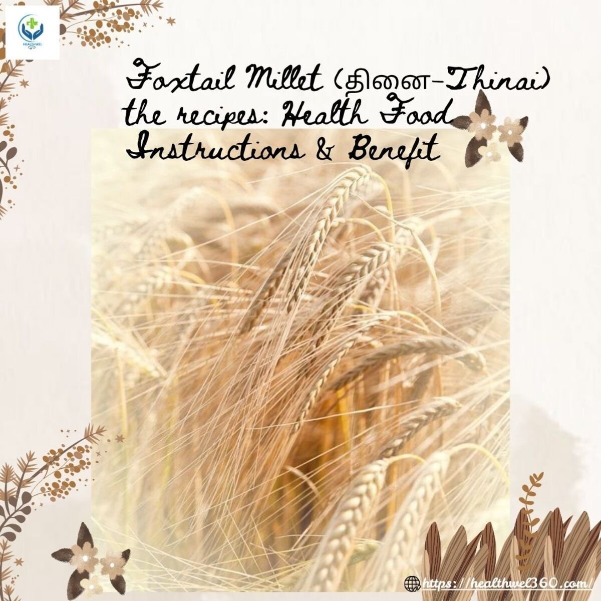 Foxtail Millet the recipes